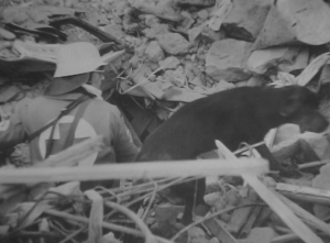 Снимок экрана 2018-12-07 в 14.43.56